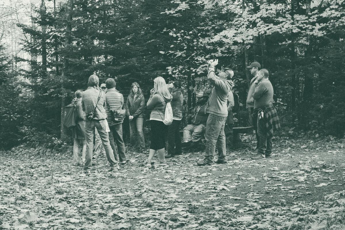 A group on a guided nature walk under yellow fall maples